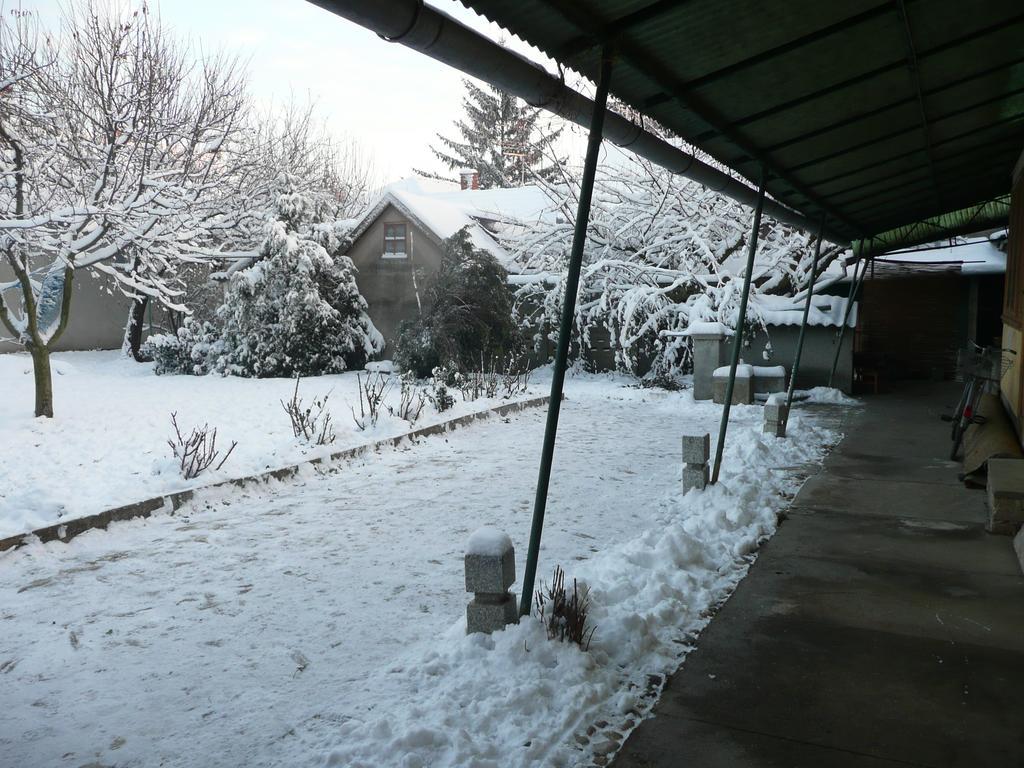 Guest House Tisza Haz Senta Exterior foto