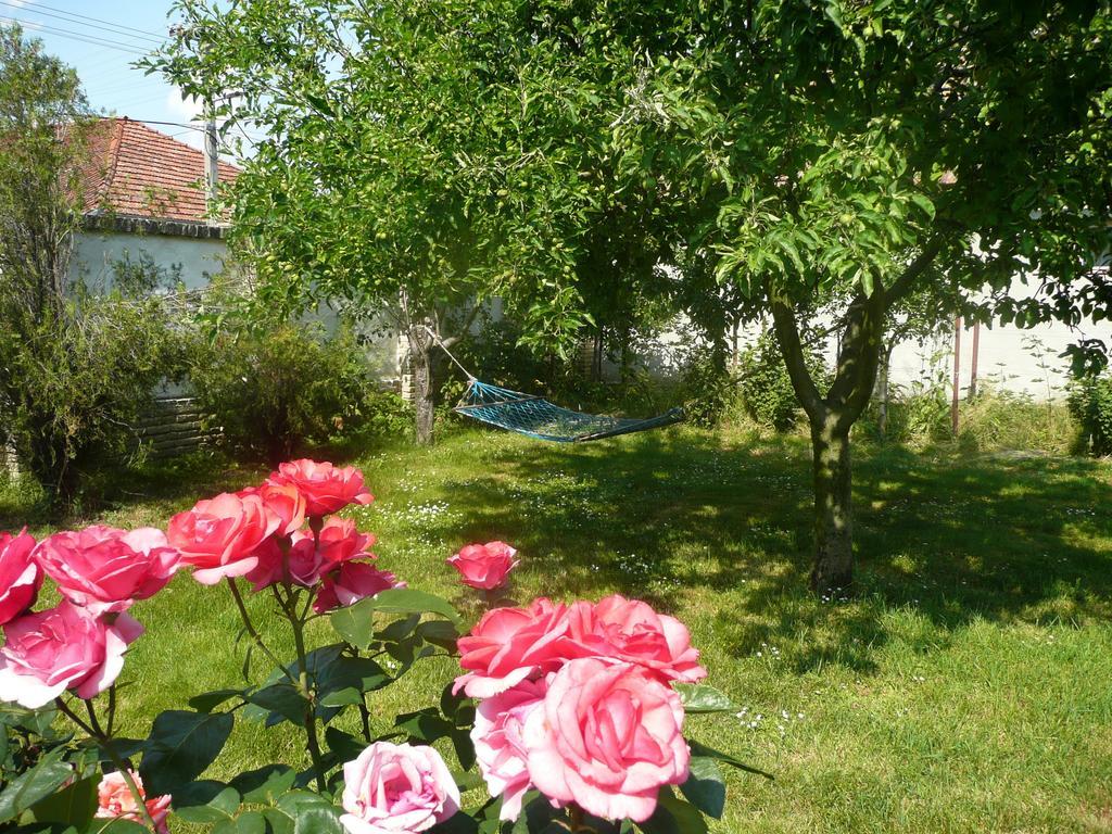 Guest House Tisza Haz Senta Exterior foto