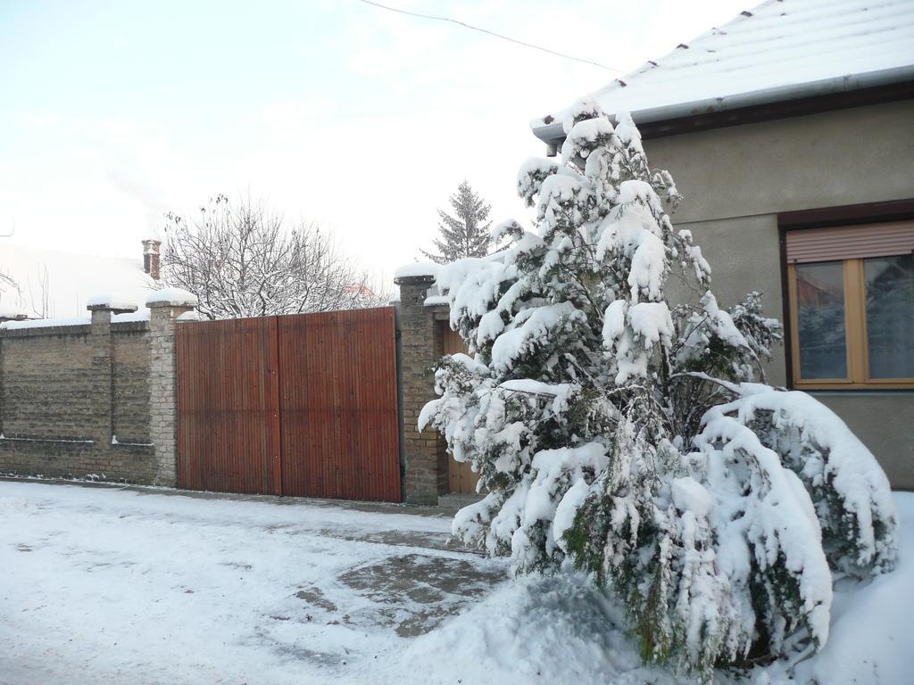 Guest House Tisza Haz Senta Exterior foto