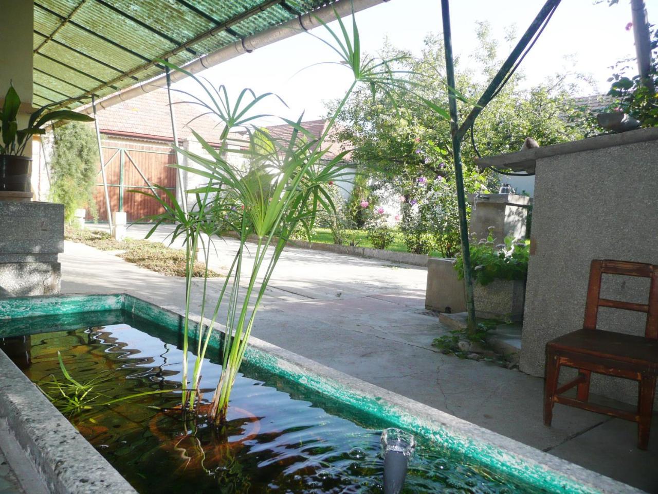 Guest House Tisza Haz Senta Exterior foto